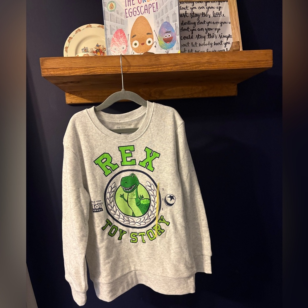 Toy Story Rex Crewneck - Boy Small